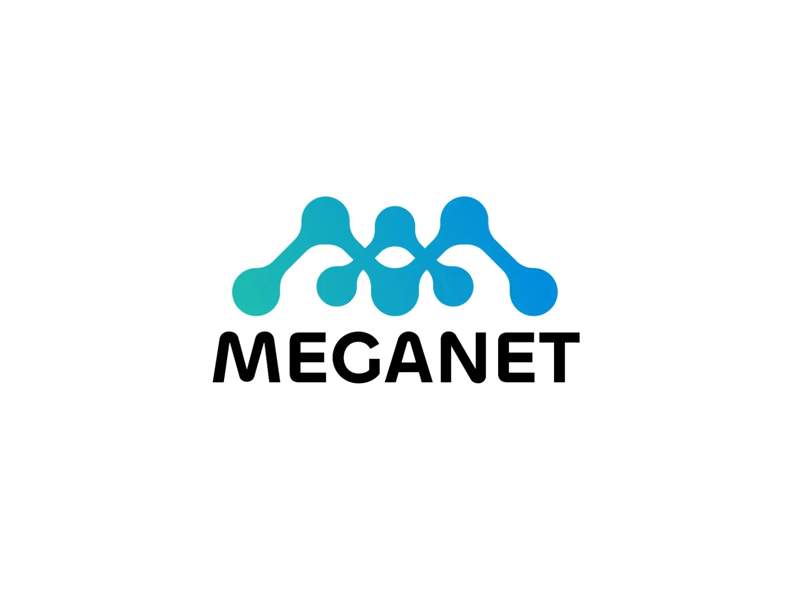 The Meganet logo: a teal to blue network mark above the MEGANET wordmark