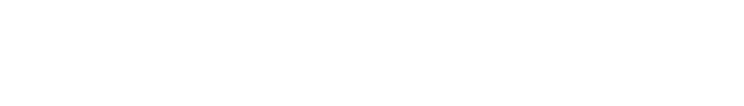 The MEGANET wordmark in white